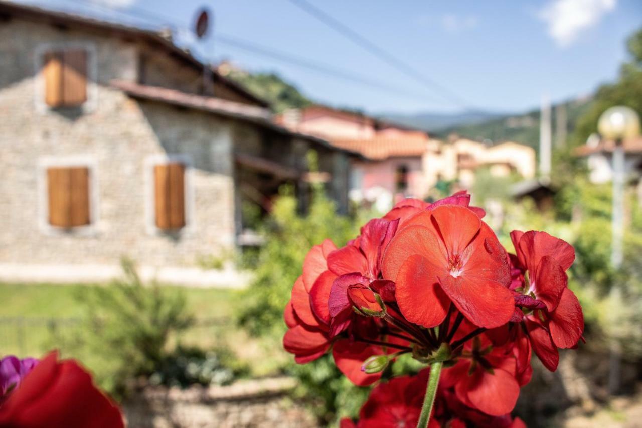 B&B La Casa D'Artista Ortignano Raggiolo Εξωτερικό φωτογραφία